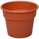  Apple одежда -AP pot 4 номер терракота 4905980390133 простой вода. . выдающийся цветочный горшок садоводство 