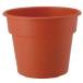  Apple одежда -AP pot 12 номер терракота 4905980394131 простой вода. . выдающийся цветочный горшок садоводство 