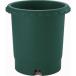  Ricci .ru роза горшок 10 номер DG темно-зеленый 4973655716038 садоводство садоводство горшок круглый 