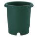  Ricci .ru роза горшок 12 номер темно-зеленый 4973655716236 глубокий type роза горшок "дышит" садоводство 