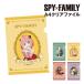 SPY×FAMILY A4 прозрачный файл / Lloyd a-nyayorudami Anne 