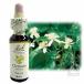 �o�b�`�t�����[�����f�B No.09 �N���}�`�X 10ml