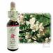 �o�b�`�t�����[�����f�B No.10 �N���u�A�b�v�� 10ml
