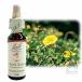 �o�b�`�t�����[�����f�B No.26 ���b�N���[�Y 10ml