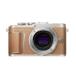  б/у 1 год гарантия прекрасный товар OLYMPUS PEN E-PL9 корпус Brown 
