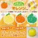 ni...churuchuru orange 3 вида комплект ( squishy, шарик .,....,UFO catcher, подарок, You туба -,youtuber,SNS. тема, увлечение,.. есть )