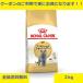 ���C�����J�i�� �u���e�B�b�V���V���[�g�w�A�[ 2kg