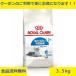 ���C�����J�i�� �C���h�A�V�{ 3.5kg