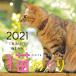 [中央経済社] カレンダーリフィル猫めくり 2021年 カレンダー 日めくり CK-C21-02