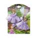  Disney Princess платье аксессуары для волос 2 шт. в комплекте ( sophia ) 15010f волосы аксессуары девочка ребенок ребенок .... Princess Kids 