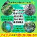 ���悯�l�b�g �l�b�g 10�� ���悯 ���| �K�[�f�j���O �S�~�u���� ���b �΍� �� ��Q �x�����_ �o���R�j�[ ���� ���������p�i �h���l�b�g �h���� �֘A�摜1
