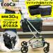  shopping Cart e Coca keep cool my bag set ( body + my bag + keep cool bag ) shopping Cart folding 4 wheel seniours prime Direct <ECW27>