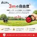 GLFP �y�b�g�p �L�k���[�h 3�� | ���p ���[�h ���^�� �y�� �y�� �X�g���b�v �y�b�g���[�h ���킢�� �֘A�摜3