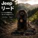 JEEP���[�h | ���p �U�� ���^�� ���^�� �A�E�g�h�A ���o�������p �U�� ���^�� ���^��  ���p���[�h