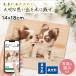  домашнее животное love собака love кошка фотография panel принт из дерева фото panel 14cm×18cm фотография принт деревянная панель из дерева panel натуральный интерьер подарок подарок 