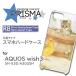 AQUOS wish3  ͤ ǭ 饹 SH-53D A302SH wish3  ޥۥ ϡɥ  / 5-131