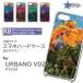 URBANO V02 KYV34  С ޥۥ  ̿  / TK-660