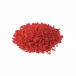  фрукты ранулы клубника DR 50g
