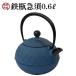 南部鉄器 急須 おしゃれ 日本製 カラーポット 0.6L ブルー ティーポット アーガイル模様 かわいい 可愛い 茶こし付 鉄瓶 ギフト プレゼント