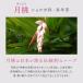 ���[���s�[�` �T�[�L�����C�g�I�C�� 60ml �֘A�摜2