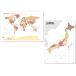 PROCEEDX прекрасный Япония + карта мира комплект пастель цвет бежевый 3 учеба постер Mini maru карта A2 размер сделано в Японии складывать глаз нет пересылка . имеется 1303