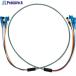 SANWA եХ֥ɿХȥץ֥뿧:졼 Ŀ4  100-3075 HKB-LCLCWPRB5-50  1
