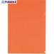 PLUS 88493) шторы держатель FL-109CH A4 orange #V195-9688 FL-109CH OR 1 листов 