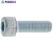 SUNCO ֥å CAP(ϻѷդܥ)(P1.25 1245 (4)  356-8749 A0-00-0004-0120-0450-04-4  1ѥå