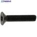 SUNCO ƥ쥹 TORX-CAP DIN 320 (10)  377-8749 A0-02-T200-0030-0200-00-10  1ѥå