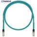 PANDUIT CAT5E ΥбLAN֥  0.3m  704-8954 ISTPHCH0.3MTL  10