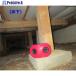 �R���p�� ���d�r���˂��ݖh����  ����712-6466 030129  24��