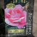 �A�E�g���b�g �o�� 2�N�� 12cm�|�b�g�c�i2�Z�b�g�j�o���c �K�N �o���̕c �y���q��y�� �֘A�摜4