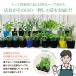 �y���q��y�� ���炵��L���ɁI �G�߂̃n�[�u ���܂��� 12�|�b�g Mix �c �Z�b�g �֘A�摜2