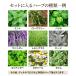 �y���q��y�� ���炵��L���ɁI �G�߂̃n�[�u ���܂��� 12�|�b�g Mix �c �Z�b�g �֘A�摜3
