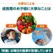 �q�� �T�v�� �g�� ���� �J���V�E�� �׋� �T�v�������g �z�X�t�@�`�W���Z���� PS �A���M�j�� ����  �S�� �~�l���� �r�^�~�� ���_�� �������� 30���� �iJUMPY�j �֘A�摜5