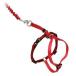  домашнее животное safe легкий walk кошка для Harness & банджи Lead S красный *EW-CH-S-RD-18