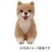  - manaka фетр комплект ..... дизайн Acre -n....DOG&CAT бобы .. ...H441-511