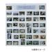 ORIONS�@�ʐ^�W���z���_�[�@38�|�P�b�g�@SH-1