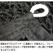 �싅 ���K �l�b�g �C���p�N�g�l�b�g2.1m�^�C�v �ȃX�y�[�X ��E�\�t�g�{�[���p �o�b�e�B���O ���K �Ō� ���K �p�� �p�i ��� �g���[�j���O ���� �֘A�摜5