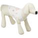 [ Gelato Pique кошка and собака ] CAT&amp;DOG лёд рисунок COOL одежда PAGG232589 BLU M