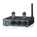 AIYIMA T1pro JAN5725W TUBE вакуумная трубка Bluetooth 5.1 предусилитель выключатель имеется QCC3040+NE5532 apt