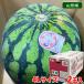  Yamagata префектура производство хвост цветок ....A и т.п. класс 4L размер 2 шар входить ( коробка ) подарок арбуз запад .