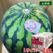  Yamagata префектура производство хвост цветок ....A и т.п. класс L размер 2 шар входить ( коробка ) подарок арбуз запад .