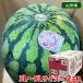  Yamagata префектура производство хвост цветок ....A и т.п. класс 3L размер 2 шар входить ( коробка ) подарок арбуз запад .