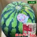  Yamagata префектура производство хвост цветок ....A и т.п. класс 6L размер 1 шар входить ( коробка ) подарок арбуз запад .