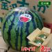  Ishikawa префектура производство Kanazawa ... превосходящий товар L размер 2 шар ввод ( коробка ) местного производства ...2 шт 