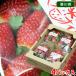  Kagawa префектура производство клубника Star Night 4 упаковка входить ( коробка ) местного производства фрукты фрукты 