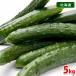  Hokkaido производство огурец 5kg( примерно 40~50шт.@)