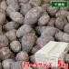  Chiba префектура производство se уровень s2S~S размер примерно 5kg ( коробка ) местного производства таро 