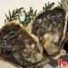  Shimane производство др. скала ..( сырой еда для ) 300~350g 1 шт местного производства скала ..